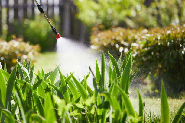 24/7 Emergency Mosquito Control experts in Leesville, LA